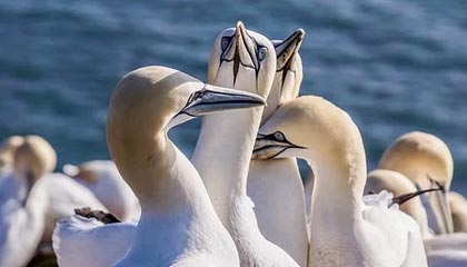 -中超球队比赛强度增加，竞技水平提升，中超球队比赛强度增加,竞技水平提升的原因